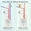 Tuya WiFi Smart Light Switch US Standard Work with Alexa Home Wall Touch Switch 1 2 3 4 Gang 110V 220V RF433Mhz Remote.