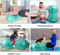 Peanut Ball Anti Burst Ball for Exercise, Labor, Birthing, Dog Training, Kids, Home & Gym Fitness, Physio Roll, Yoga Balance. 