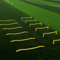 Soccer & Basketball Agility Training Set With Soft Skipping Ladders, Speed Rope - Includes Storage Bag.
