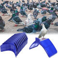 20 Pcs Dove Rest Stand, Lightweight Pigeon Perches Plastic Birds Roost Holder, Pigesons Dwelling Frame Birdcage Accessories. 