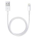 iPhone Fast Charging cable | 6IC BEST Quality (Copper Wire) | USB to lightning. 