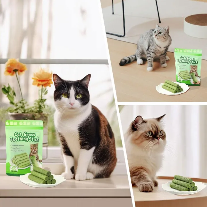 Natural%20Cat%20Grass%20Teeth%20Cleaning%20Stick%20With%20Catnip%20Pet%20Toy%20For%20Dental%20Health%20And%20Molar%20Cleaning%20-%20Image%202