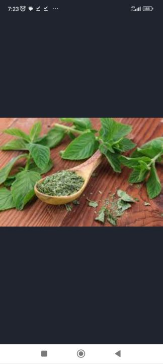 wild dry mint
