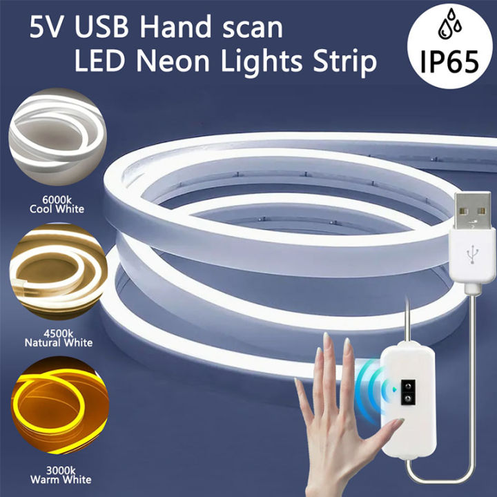 Neon LED Strip Lights DIY Neon Sign Gesture Sensor 5V USB Dimmable Flexible Rope Lamp Tube IP65 Waterproof Room Backlight Decor