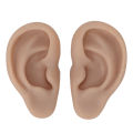 Silicone Human Ear Model 1 Pair Silicone Ear Model Soft Flexible Simulation Ear Model for Earrings Display Ear Piercing Exercise. 