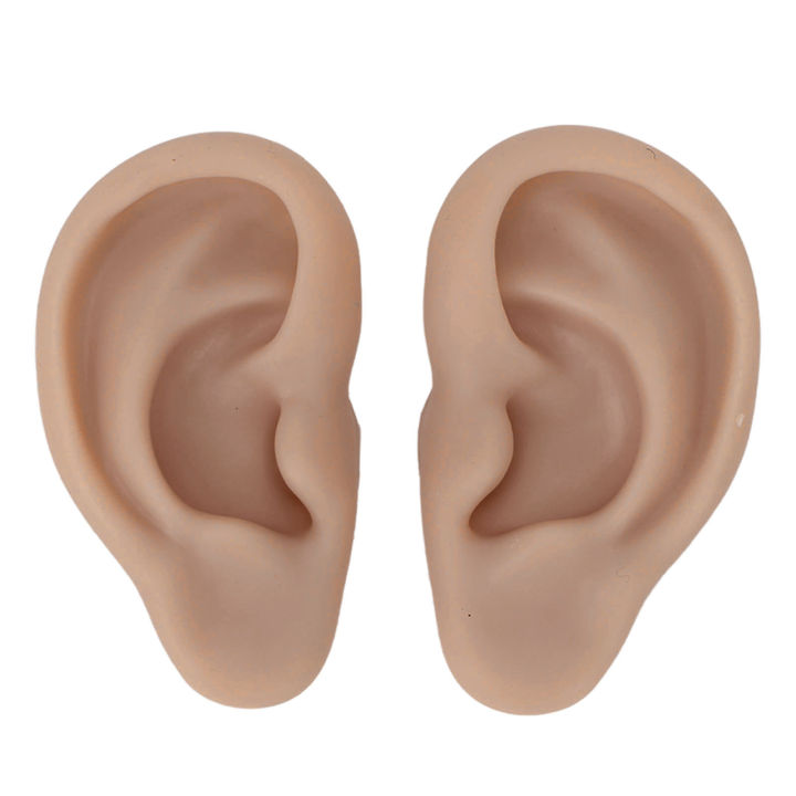 Silicone%20Human%20Ear%20Model%201%20Pair%20Silicone%20Ear%20Model%20Soft%20Flexible%20Simulation%20Ear%20Model%20for%20Earrings%20Display%20Ear%20Piercing%20Exercise%20-%20Image%207