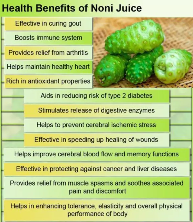 Ahu%20plant%20noni%20fruit%20plant%20-%20Image%205