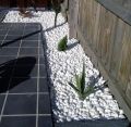 Garden Marble Stones / Pebbles For Decoration for Garden And Pots (1 kg). 