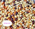 Millet mix/Millet Canary mix for Birds-500 gm.