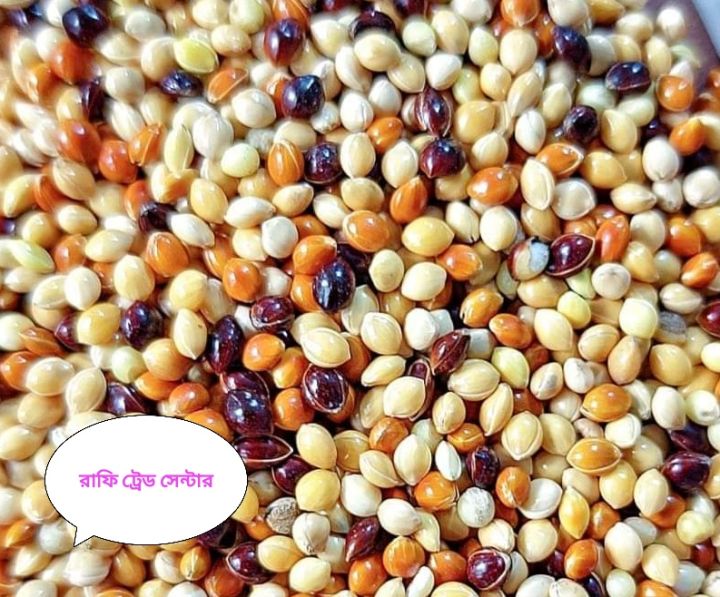 Millet%20mix/Millet%20Canary%20mix%20for%20Birds-500%20gm%20-%20Image%204