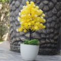 Artificial Plant Large Size Best For Home Decoration & Office Decoration. 