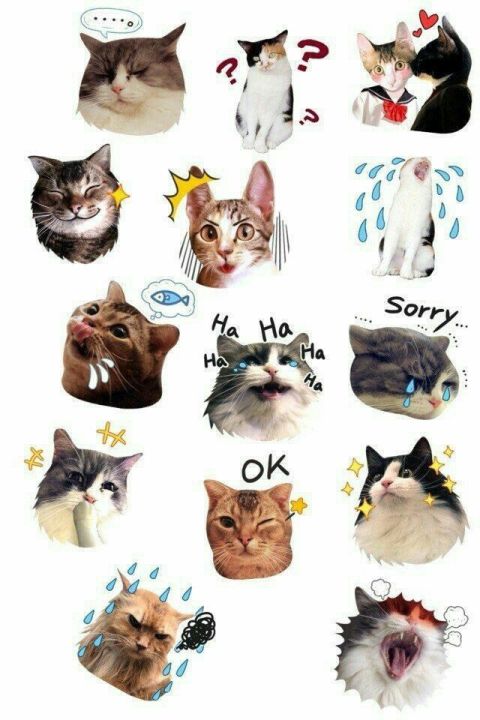 funny Memes Stickers, cute funny cat stickers, Meme stickers, dog stickers, uncut sticker sheet, humor emoji sticker