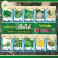 Chia Tai (buy 10 get 2) 10g yard long bean seeds, yard long bean seeds, yard long bean seeds, vegetable seeds, garden vegetables. 