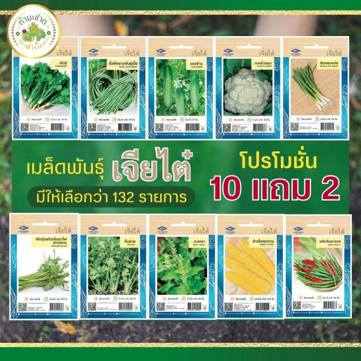 Chia%20Tai%20(buy%2010%20get%202)%2010g%20yard%20long%20bean%20seeds,%20yard%20long%20bean%20seeds,%20yard%20long%20bean%20seeds,%20vegetable%20seeds,%20garden%20vegetables%20-%20Image%208