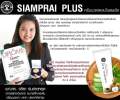 Ready to Ship Siam Prime Plus Thai Herbal Cream, Cool Formula.. 