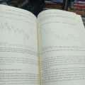 Candlesticks, Fibonacci, and Chart Pattern Trading Tools: A Synergistic Strategy to Enhance Profits and Reduce Risk

Book by Jens Fischer and Robert Fischer. 