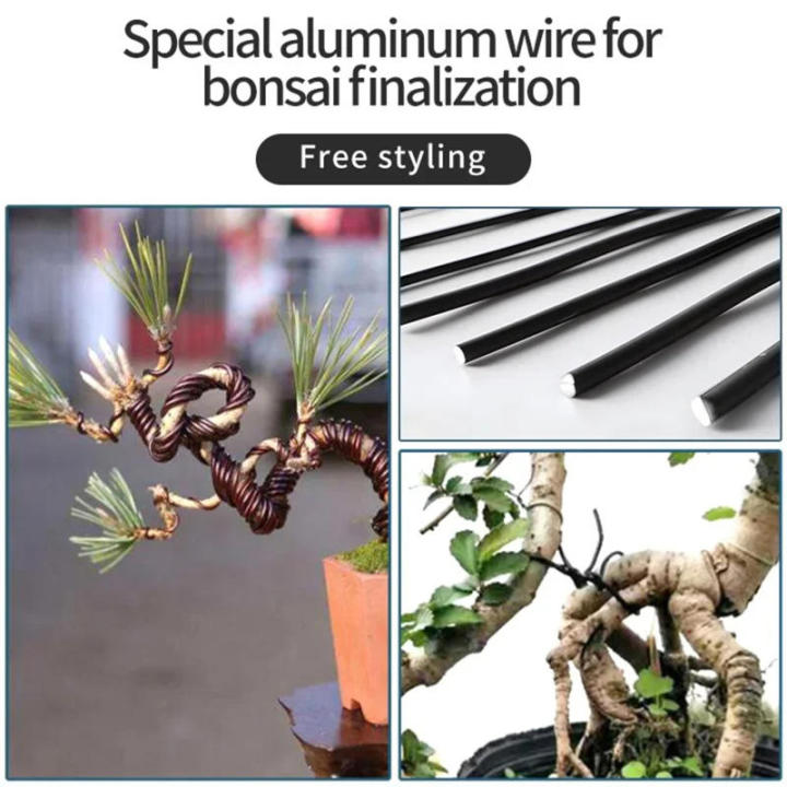 5M%20Bonsai%20Wires%20Plant%20Support%20Branches%20Bend%20Fixing%20Wires%20Anodized%20Aluminum%20Bonsai%20Training%20Wire%20Garden%20DIY%20Tool%201/1.5/2/2.5/3%20mm%20-%20Image%206