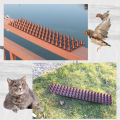 20 PCs anti bird Thorn Wall, anti bird thorns anti-theft practical anti-cat greenh intrusion. 