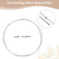 25 Gauge Stainless Steel Flat Wire 23 Feet 1.6mm Wide Metal Craft Wire Bendable Steel Wire for Jewellery Making Resin Bezel. 