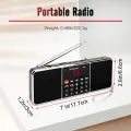 Retekess TR602 Portable Radio AM FM Digital Bluetooth Speaker Stereo MP3 Player TF SD Card USB Handsfree Call for Kids and Old.