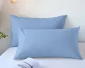 2pcs Brushed Pillowcase, Soft Breathable Pillowcase, Premium Quality Pillow Covers For Bedroom Sofa Home Decor, Without Pillow. 