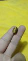 tiger eye Stone. 