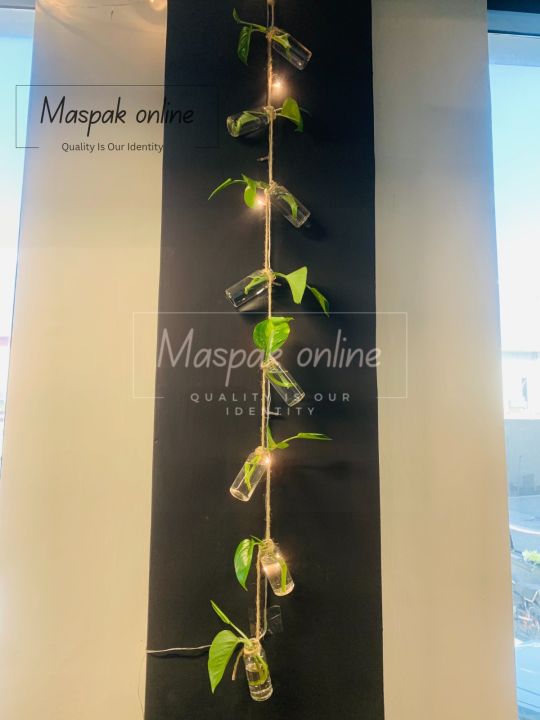 Set%20Of%208%20Mini%20Bottles%20With%20Light%20And%20Without%20Money%20Plants%20Hanging%20Small%20Glass%20Bud%20Vase%20,%20Decorative%20Hanging%20Glass%20Plants%20Vases,%20Small%20Hanging%20Vases,%20Home%20Decor,%20Housewarming%20Gift%20-%20Image%202