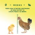 Chick Feed Crumble for Young Chickens

500Gram. 
