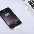 Branded lart Charger Cable For iPhone 4/4s iPod Nano iPad 2/3 i-Phone Cable USB Charging Cable Charger Phone Accessories. 