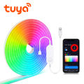 Tuya Smart Zigbee 3.0 USB 5V Neon LED Light Strip RGB WiFi Dimmable Neon Tape Ribbon Sign Wall Decor Work With Alexa  Home lightify. 