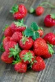 High Qulity Strawberry Plant  (ආනයනික හනීයන්  ප්‍රබේදයේ හොදම ස්ටෝබේරී පැල). 