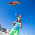 Flat Eagle Kite 1.1m Flying Bird Kite With 30 Meter Kite Line Large Kite Kids Gift Family Trips Garden Outdoor Sports DIY Toy.