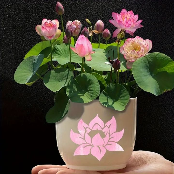 Lotus%20Flower%20Stencil%20Set%20-%202%20Sizes%20Reusable%20DIY%20Painting%20Template%20Wall%20Decor%20-%20Image%204