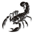 New 3D scorpion stickers waterproof for car fender decoration front-back door. 