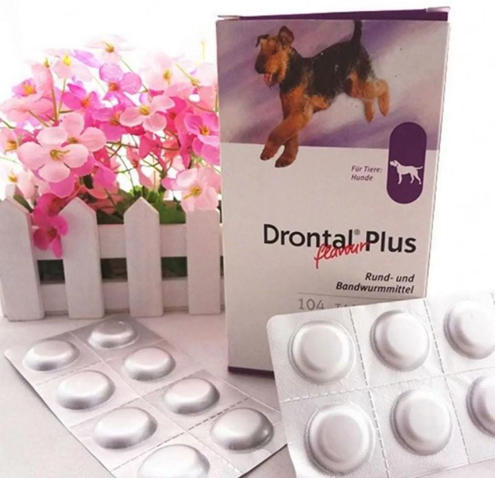 Drontal Plus Tablet For Dog Deworming Pack Of 5 Tablets