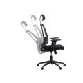 Ergonomic office chair with adjustable arms and recline system. 