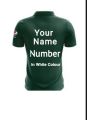 Kids Offical Pakistan cricket Kit jersy with customizable, Personalized Print Name and Number.Kids Pakistan Cricket Team T20 world cup Kit , ODI Kit World Cup Jersy with  Name and Number . A Blend of Polyester 60% cotton  40% offers A Comfortable Breathab. 