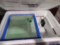 Egg Incubator 100capacity (Ac+Dc). 