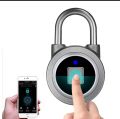 Smart Padlock APP Remote Unlock Portable Mini Keyless Electronic Lock Anti-Theft Security Home Outdoor Bike Backpack Drawer Lock. 
