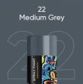 Grey Spray Paint For Bike, Cars And All Wood & Metal Surfaces Decorative Paint For All Purposes NF STORE PK. 