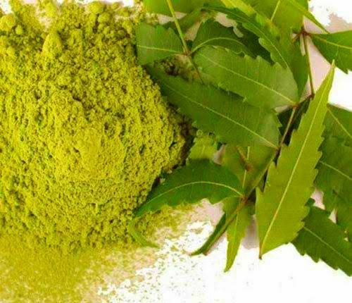 Organic%20Neem%20Powder,(%20Human%20Diabetes%20treatment%20And%20All%20Functions),%2050%20gm.%20-%20Image%202