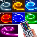 5V USB RGB Neon LED Strip Lights with 44Keys Remote Control for Bedroom Lighting Decor. 