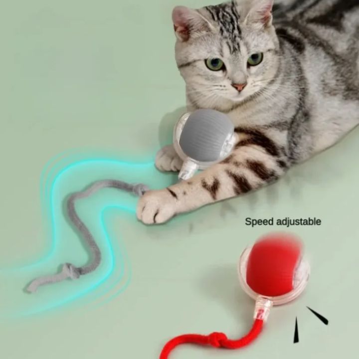 Cat%20Interactive%20Ball%20Toys%20Automatic%20Rolling%20Ball%20For%20Kitten%20Rechargeable%20Smart%20Pet%20Electric%20Toys%20With%20Teaser%20Sensor%20Cat%20Ball%20Toy%20-%20Image%202