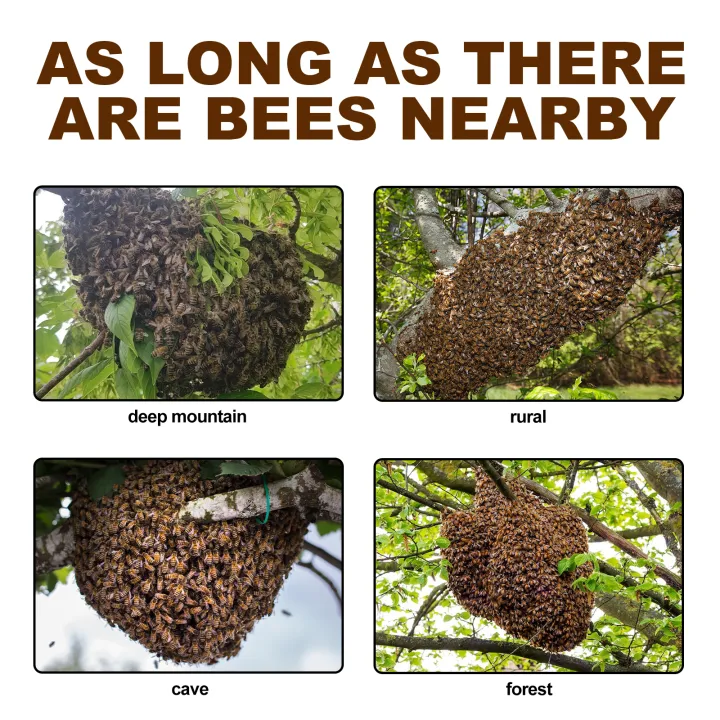 Bee%20Attractant%20Swarm%20Commander%20Premium%20Hive%20Beekeeping%20Catching%20Bee%20Lure%20Bait%20Honey%20Collection%20Cage%20Pollen%20Trap%20Attract%20Bee%20Bait%20-%20Image%206