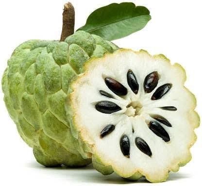 Custard Apple seeds- shareefa seeds- IMPORTED SEEDS BY HK DEALER