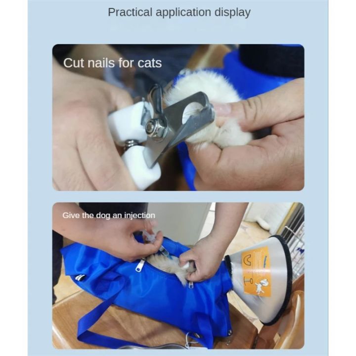 Portable%20Cat%20Backpack%20Pet%20Summer%20Outing%20Foldable%20Grab%20Bite%20Fixed%20Cat%20Bag%20Pet%20Supplies%20Transporte%20Pet%20Cat%20Handbag%20Cat%20Travel%20Bags%20-%20Image%204