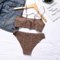 Hot Sale New Design 2 Piece Leopard Ice Silk Bralette Wireless Fitness Tracelss Bra Brief Seamless Bra And Panty Set For Women.