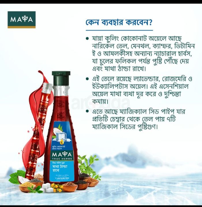MAYA%20HEAR%20oil%20(true%20herbs%20-%20Image%202