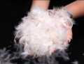 Duck Feather & Down Pillow 100% Pure With Life Time Warrant. 