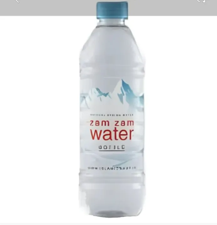 Water 500 ML For Maximize Physical Performance - ZAM ZAM, Imported U.A.E